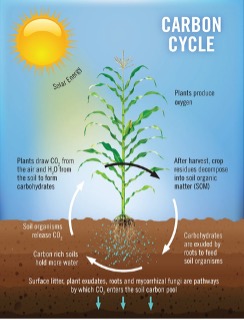 Carbon Storage & Benefit | Mosaic Crop Nutrition