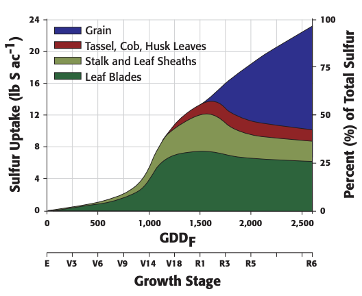 corn growth stage graph 